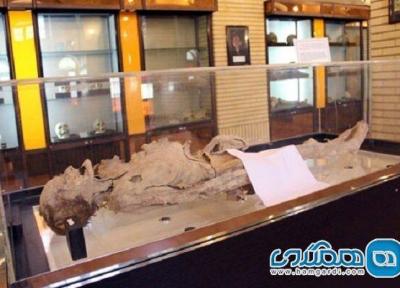 اعلام ثبت ملی جسد مومیایی شده یزد
