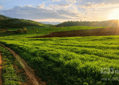 خنک ترین شهرهای ایران در تابستان (بخش دوم)