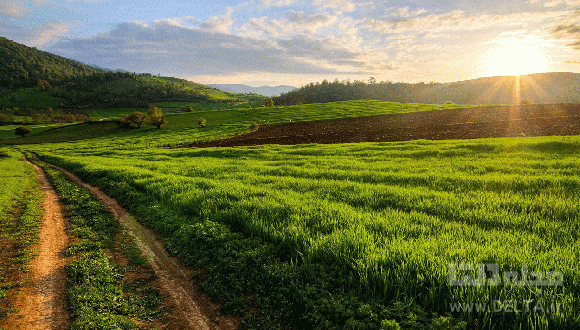 خنک ترین شهرهای ایران در تابستان (بخش دوم) خنک ترین شهرهای ایران در تابستان (بخش دوم)