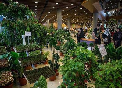 یازدهمین نمایشگاه گل و گیاهان دارویی در همدان برپا شد