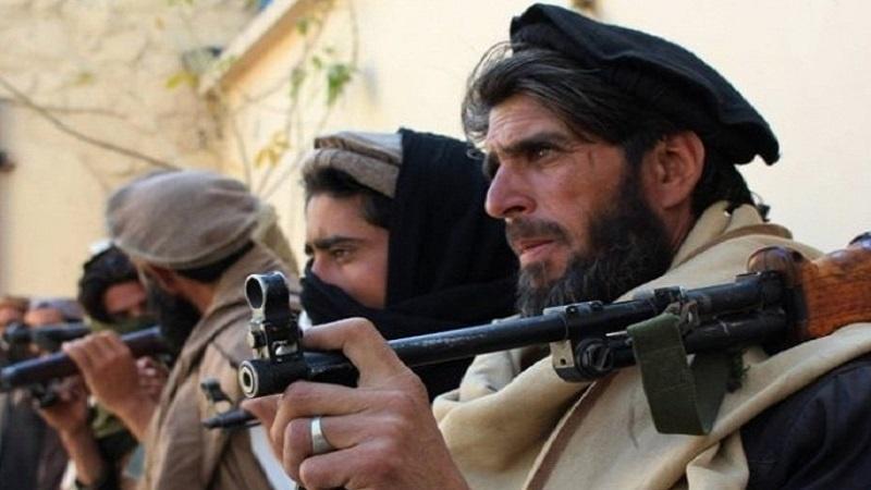 طالبان: اجازه نمی دهیم آمریکا در امور داخلی افغانستان دخالت طالبان: اجازه نمی دهیم آمریکا در امور داخلی افغانستان دخالت کند