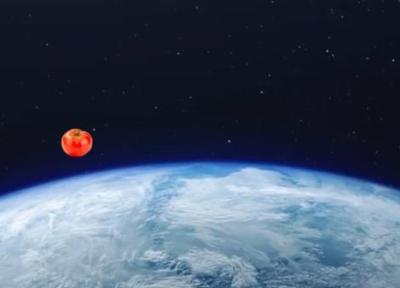 معمای گم شدن گوجه فرنگی در ماموریت تاریخی ایستگاه فضایی بین المللی