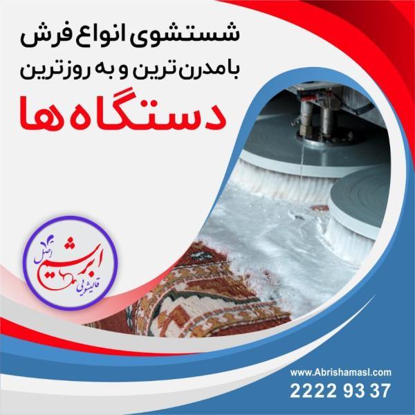 حشرات نابود کننده فرش